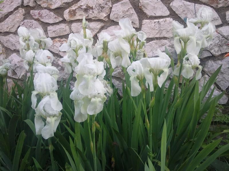 Apartmani Maris Mali Losinj Bagian luar foto
